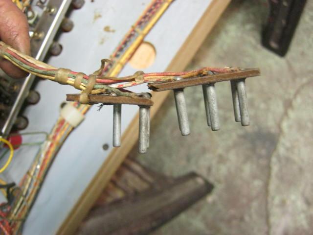 IMG-1145.JPG