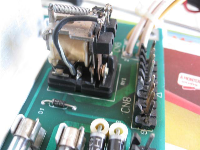 IMG-4450-Small-.JPG