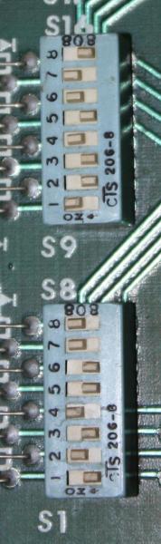 IMG-4519-3.jpg