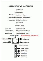 BRANCHEMENT XYLO GOTTLIEB  WILLIAMS -.GIF