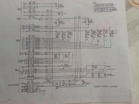 20250529_190035.jpg