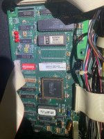 IMG_4217.jpeg
