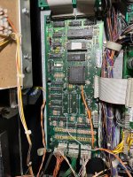 IMG_7117.jpeg