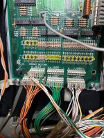IMG_7121.jpeg