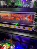 IMG_7504.jpeg